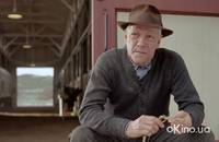 Кадр Фаворит