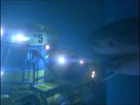 Кадр Мегалодон (видео)