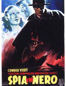 Шпион в черном