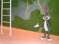 Кадр Кролик ныряющий с высоты