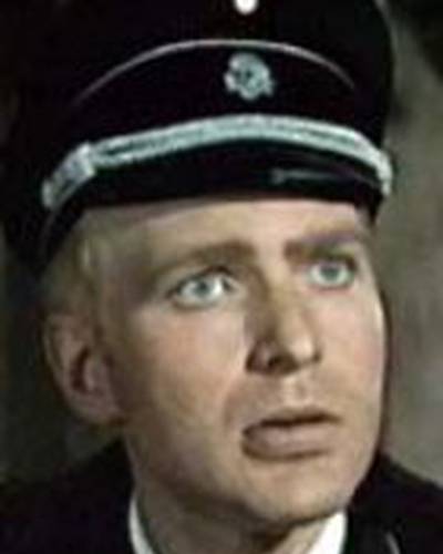 Деррен Несбитт фото