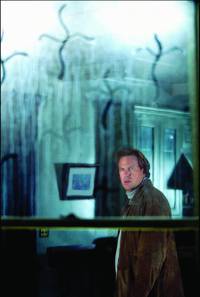 Кадр Стрекоза