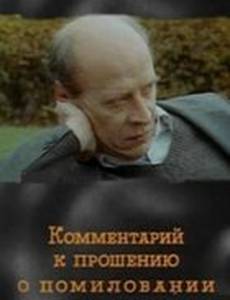 Комментарий к прошению о помиловании