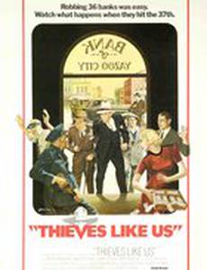 Воры как мы