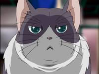 Кадр Стратос 4