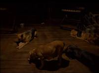 Кадр После мрака свет