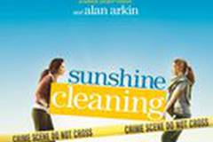 Чистка до блеска