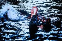 Кадр Аллигатор 2: Мутация