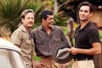 Кадр Пальмы в снегу