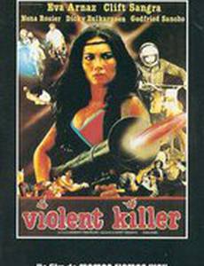 Леди Истребитель