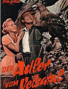 Der Adler vom Velsatal