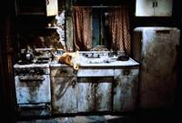 Кадр Домоуправ