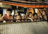 Кадр Деревенские крокодилы