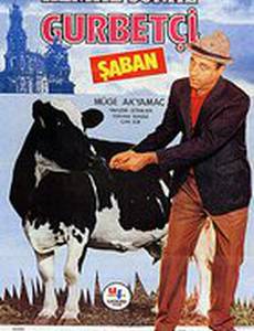 Иммигрант Шабан