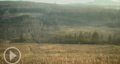 Промо-ролик №3