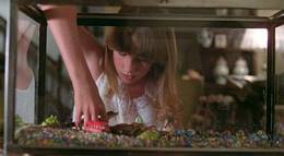 Кадр из фильма "Аллигатор" - 1