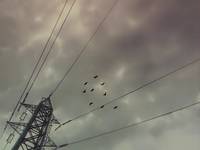 Кадр Ветер амнезии (видео)