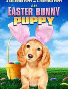 An Easter Bunny Puppy