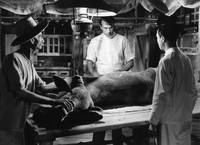 Кадр Настоящая слава