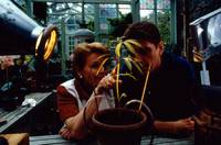 Кадр Спасите Грейс