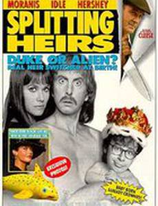 Перепутанные наследники