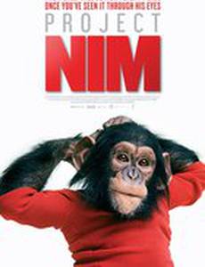 Проект «Ним»