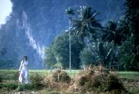 Кадр Небо и земля