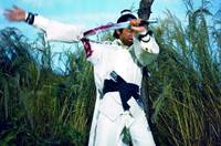 Кадр Новый однорукий меченосец