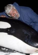 Жан-Мишель Кусто фото