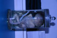 Кадр Кошмар