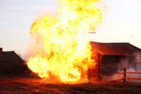 Кадр Белый тигр