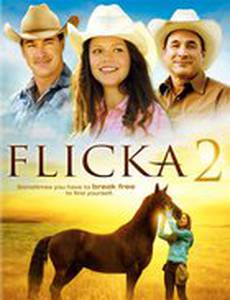 Флика 2 (видео)