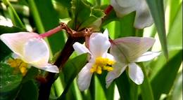 Кадр из фильма "Игры Богов" - 2