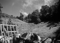 Кадр Наслаждение