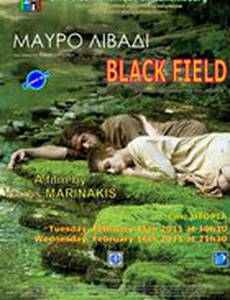 Чёрное поле