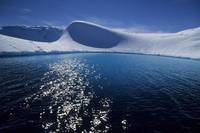 Кадр Птицы 2: Путешествие на край света