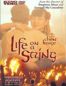 Жизнь на струне