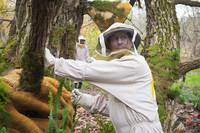 Кадр Ганнибал