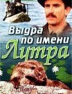 Выдра по имени Лутра