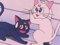 Кадр Красавица-воин Сейлор Мун Эс