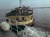 Кадр Без году неделя