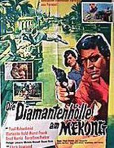 Die Diamantenhölle am Mekong