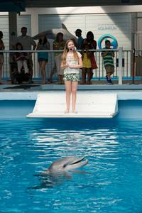 Кадр История дельфина 2