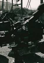 Пол Мэйбаум фото