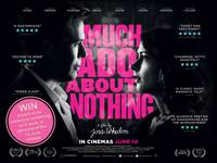 Постер Много шума из ничего