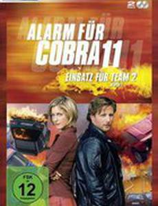 Спецотряд «Кобра» – Команда 2