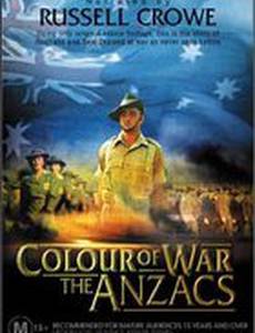 Цвет войны: Солдаты Австралийского и Новозеландского армейского корпуса