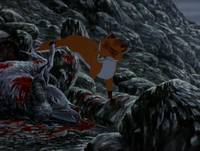 Кадр Отчаянные псы