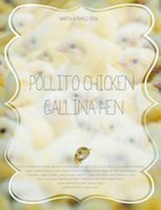 Pollito Chicken, Gallina Hen