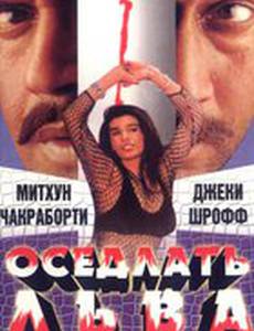 Оседлать льва